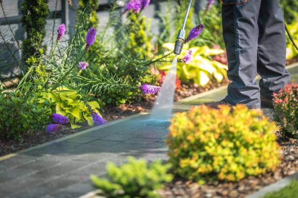 Best Driveway Pressure Washing  in Beavercreek, OR